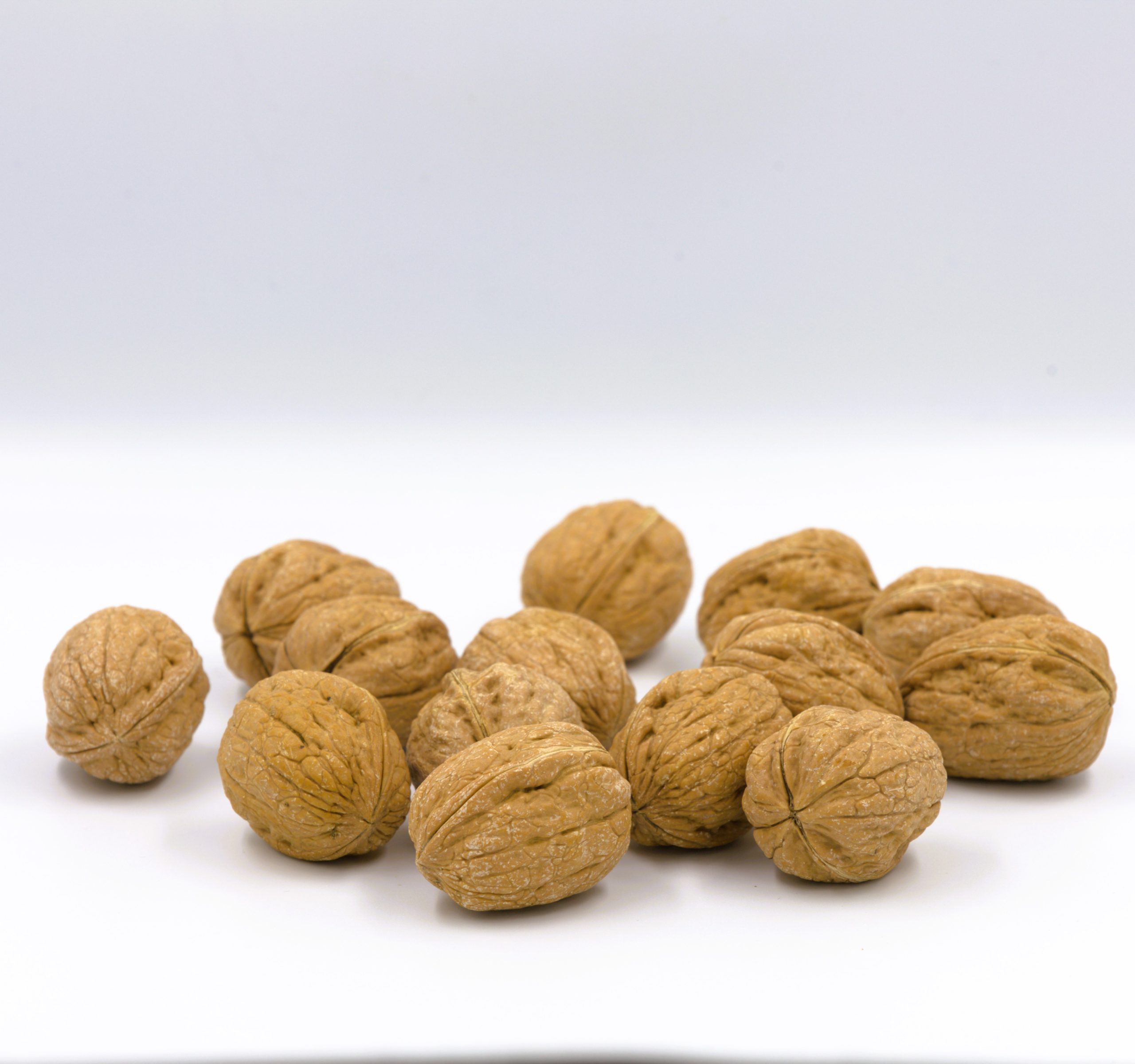 walnut.jpg Walnuts - Image 1